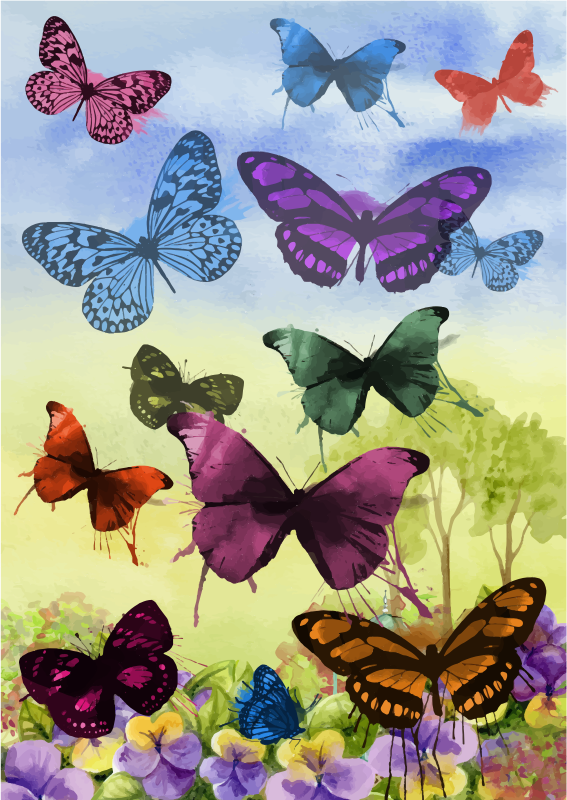 Butterfly Garden