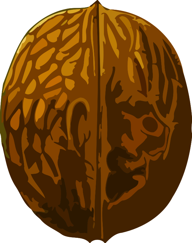 Walnut (low resolution)