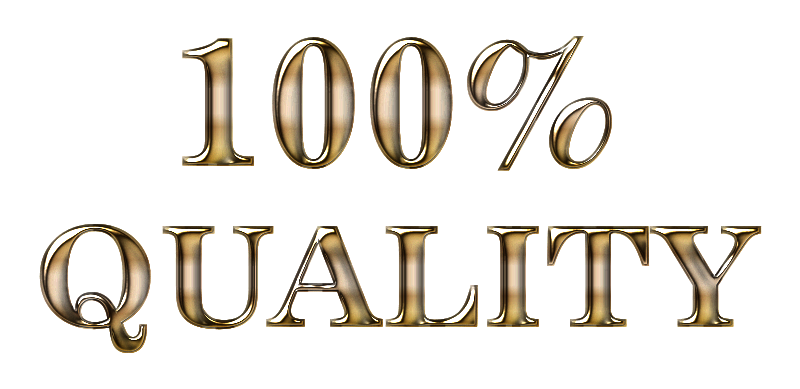 100 Percent Quality Typography Enhanced 2 No Background