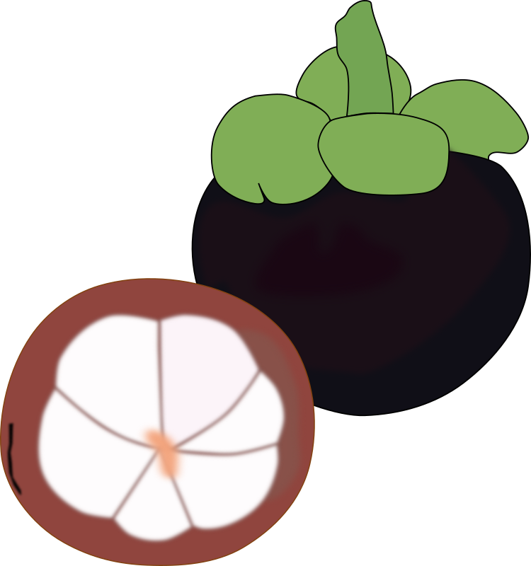 mangosteen