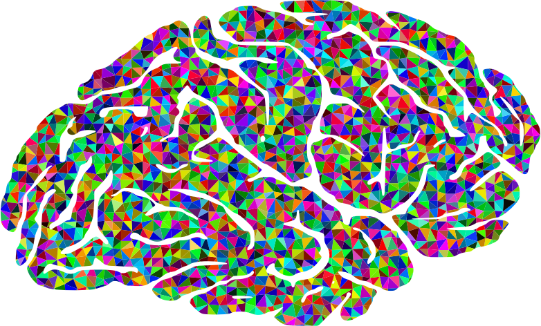 Prismatic Low Poly Brain