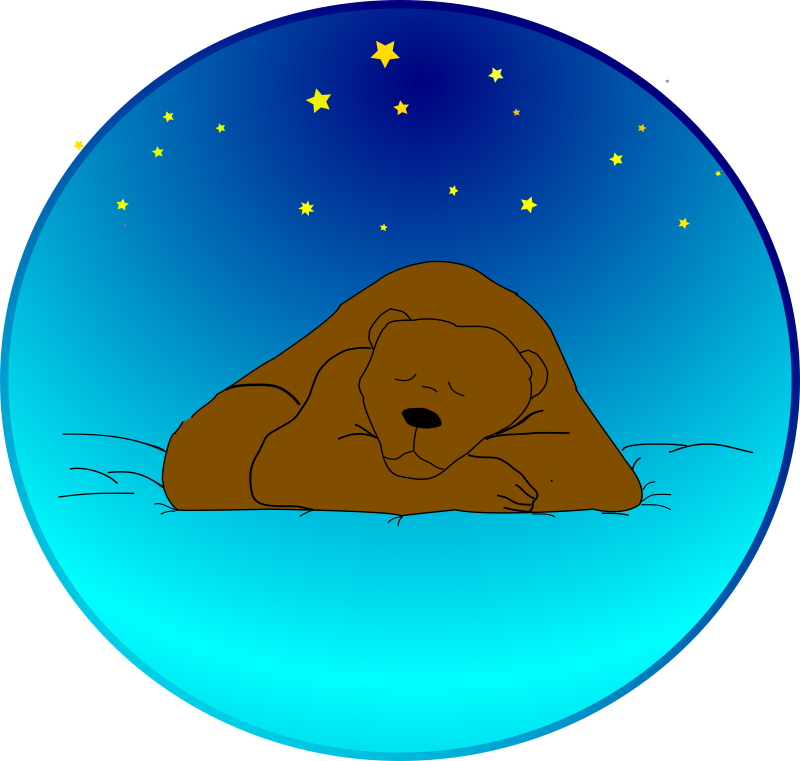 Sleeping bear under the stars