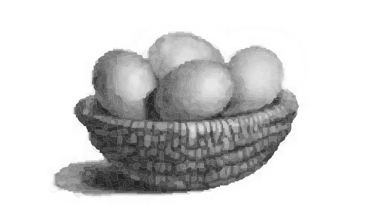 Eggs in a basket