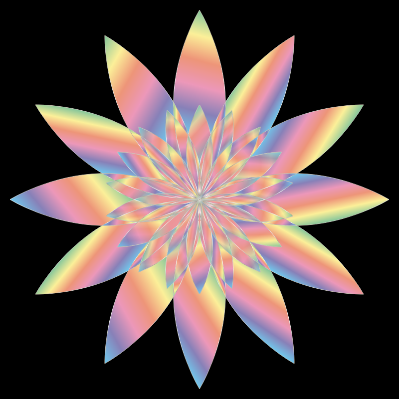 Chromatic Flower 15