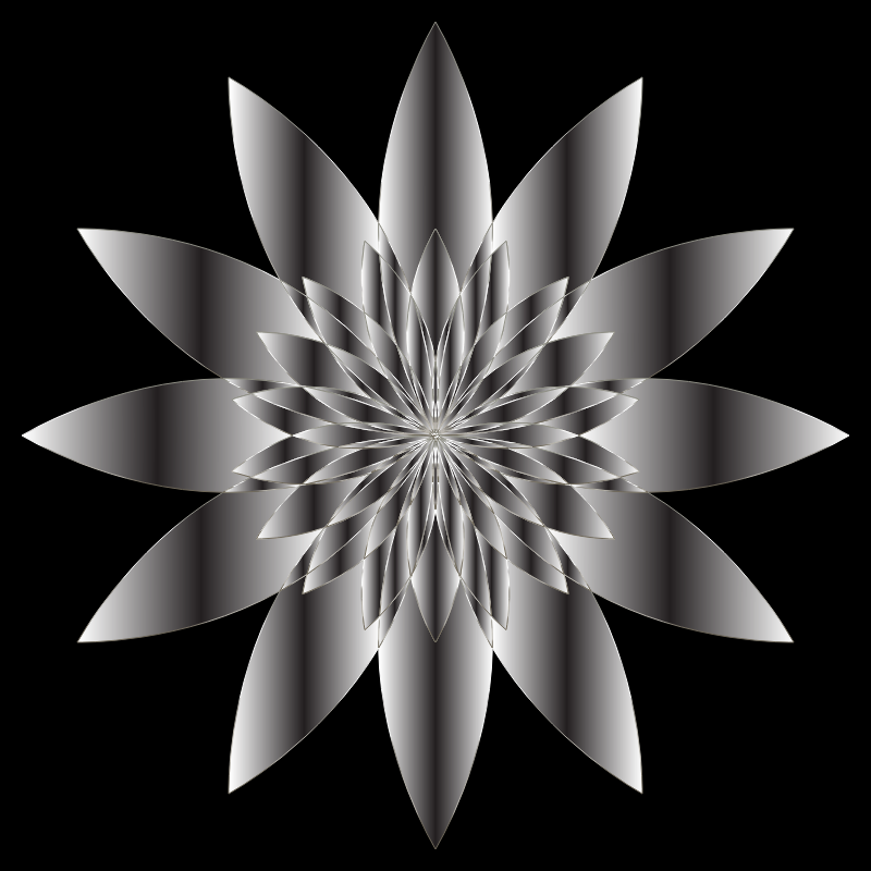 Chromatic Flower 18