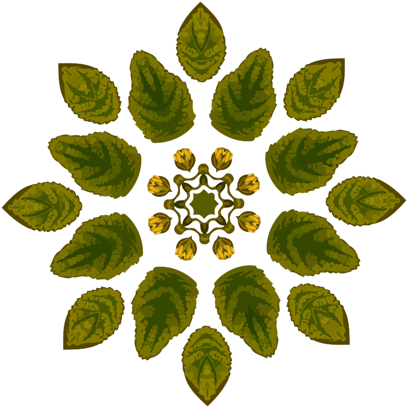 Plant design 71