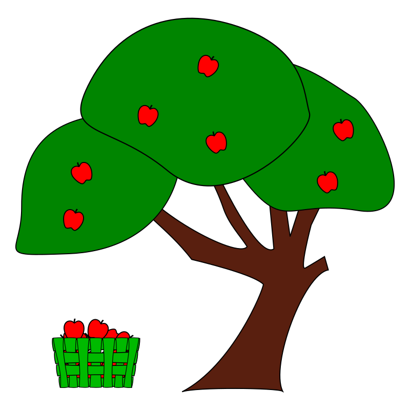 Apple Tree