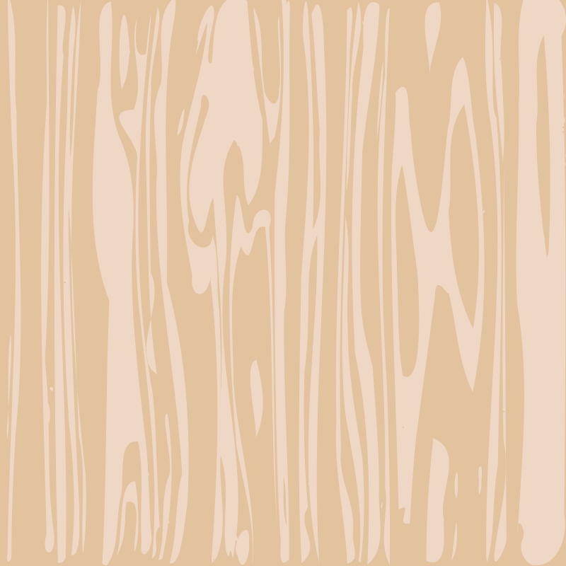 Birch wood texture