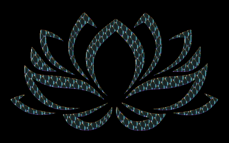 Prismatic Lotus Flower 13