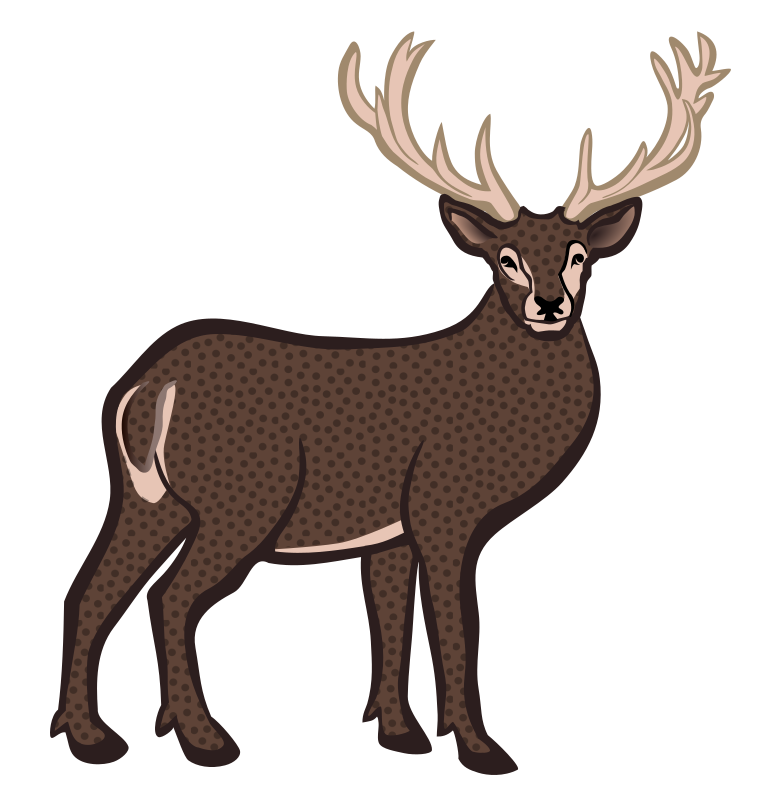 deer - coloured