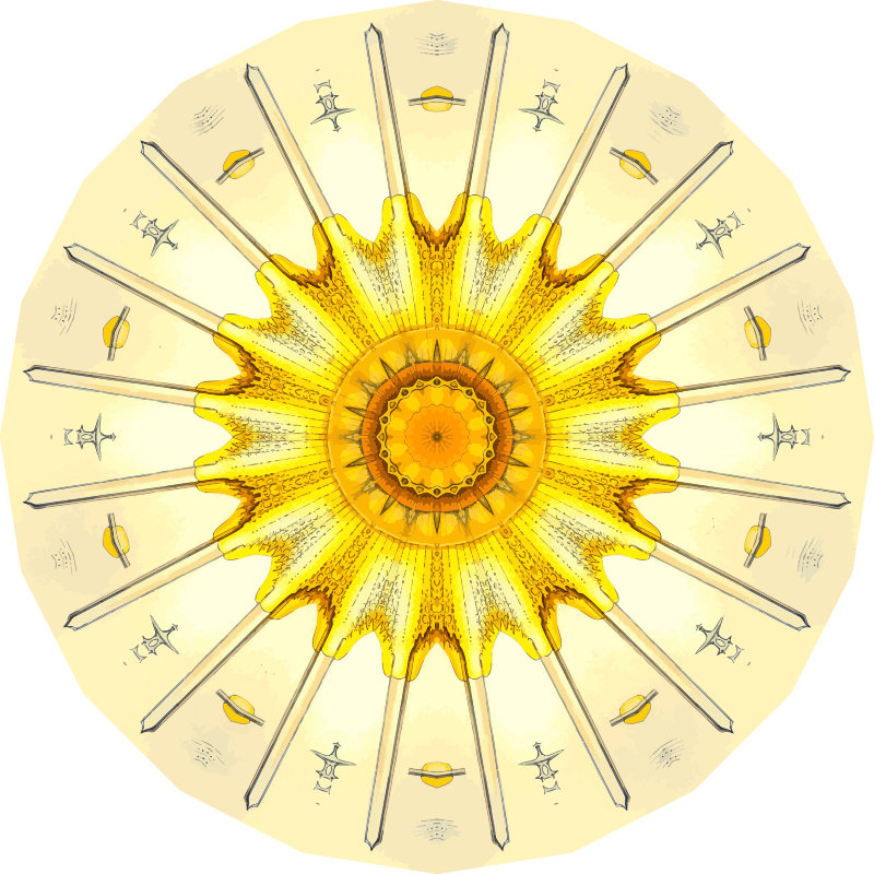 Acanthometra 16