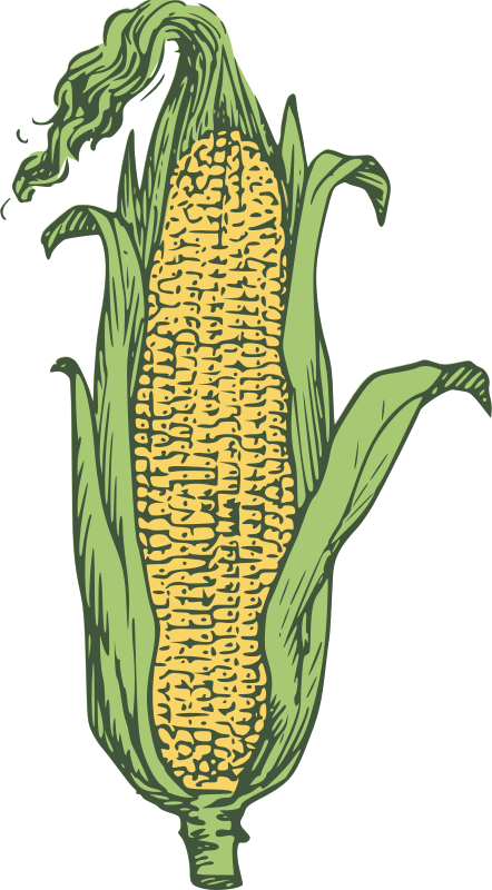 ear of corn - colored