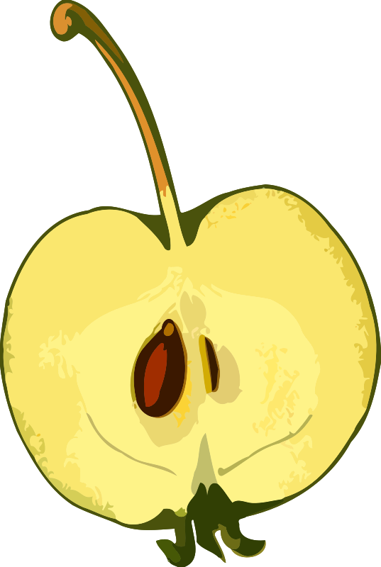Half-apple (low resolution)