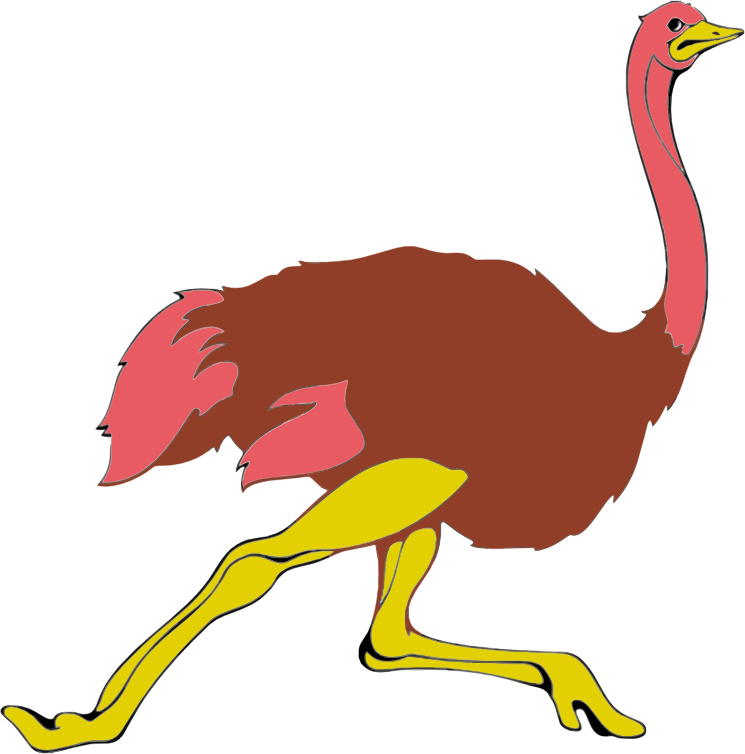 Running Ostrich