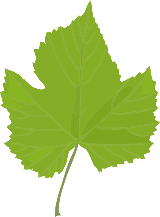 Green Leaf