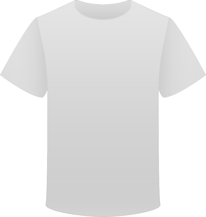 Gray T Shirt