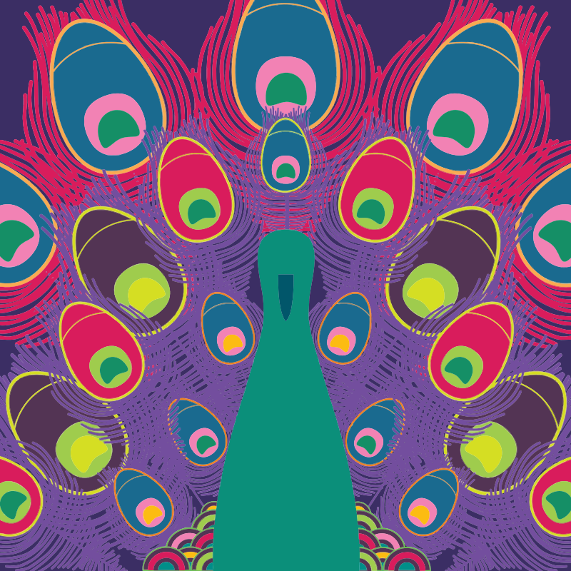 Colorful Peacock Line Art