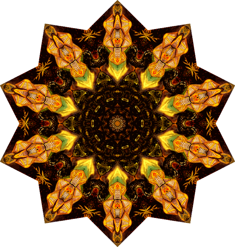 Chelonia 13
