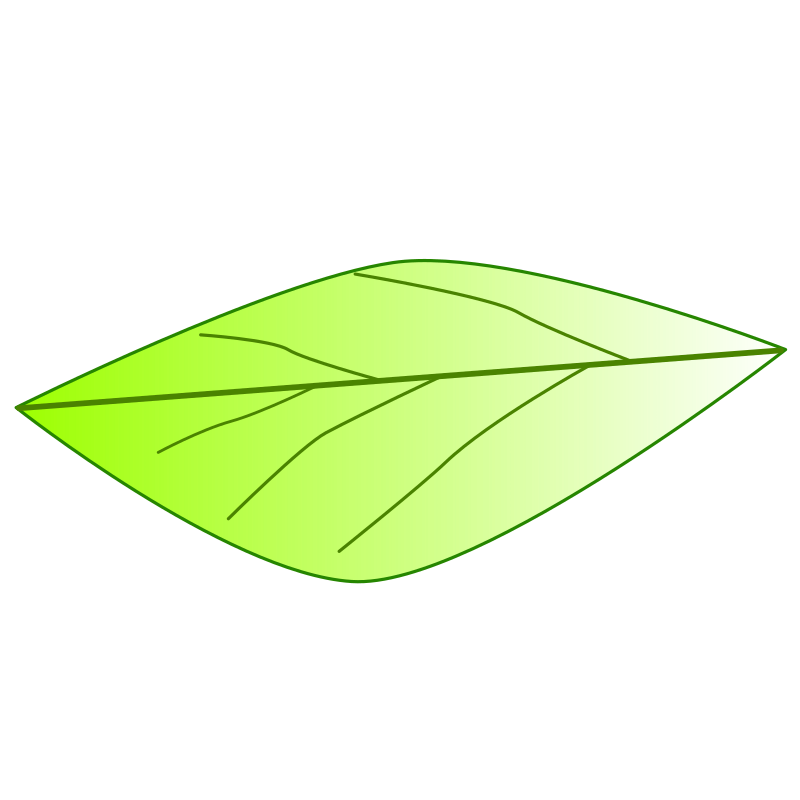 leaf