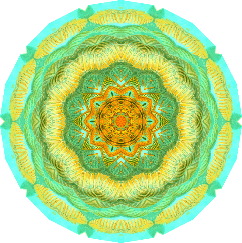 Filicinae 4