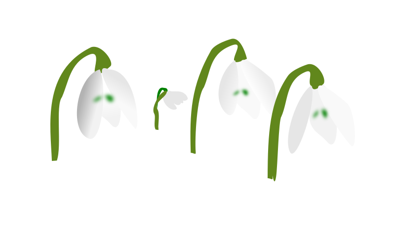 Free Free 159 Snowdrop Flower Svg SVG PNG EPS DXF File