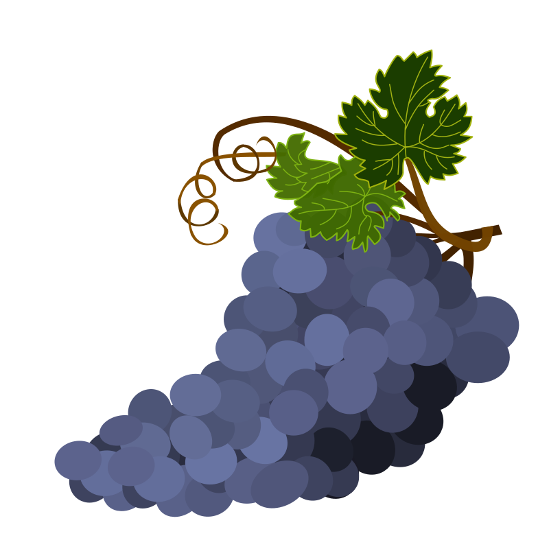 Purple Grapes