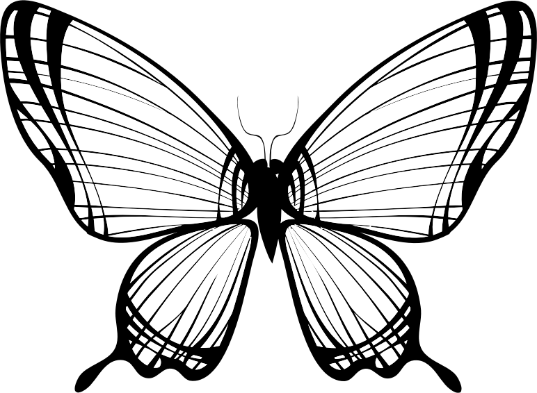 Butterfly Silhouette 11