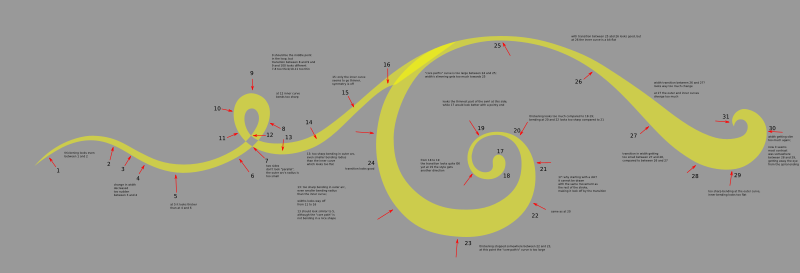 swirl anatomy