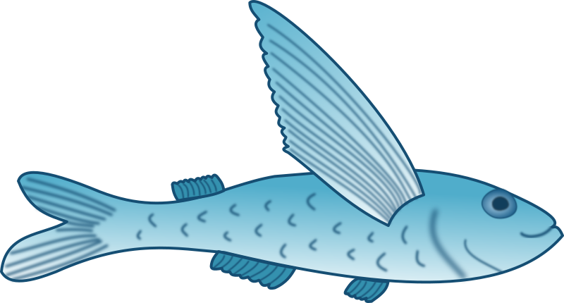 Flying Fish