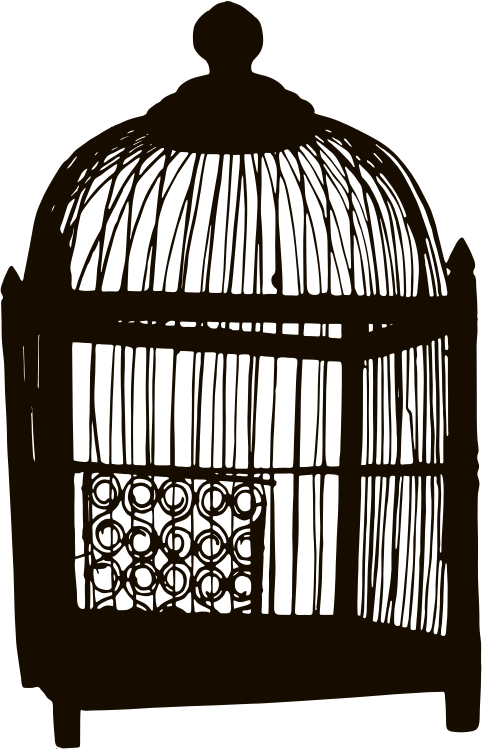 Birdcage Silhouette