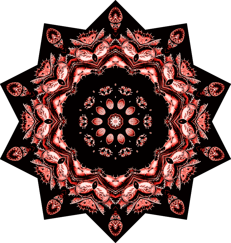 Bryozoa 22