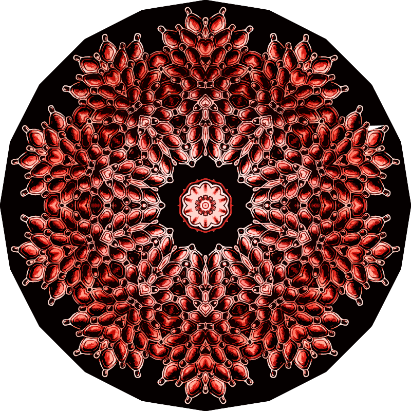 Bryozoa 24