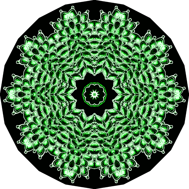 Bryozoa 26
