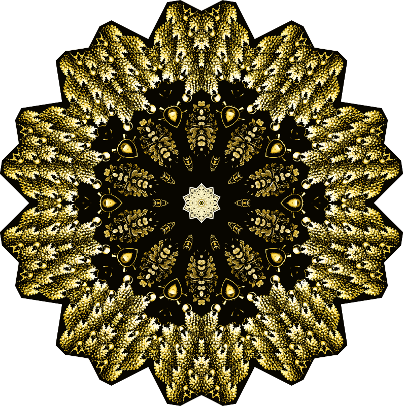 Bryozoa 32