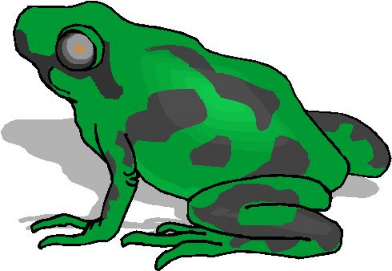 Frog Green