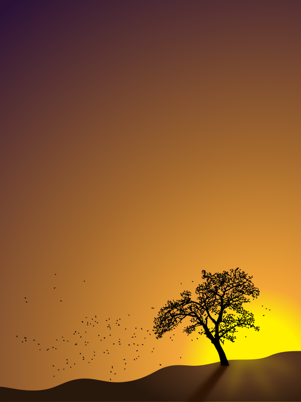 Tree in Sunset