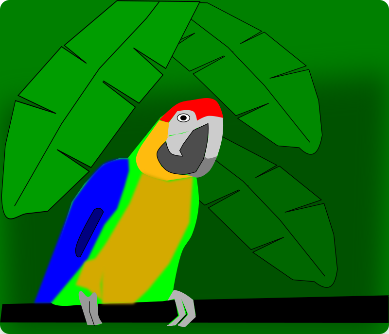 Parrot