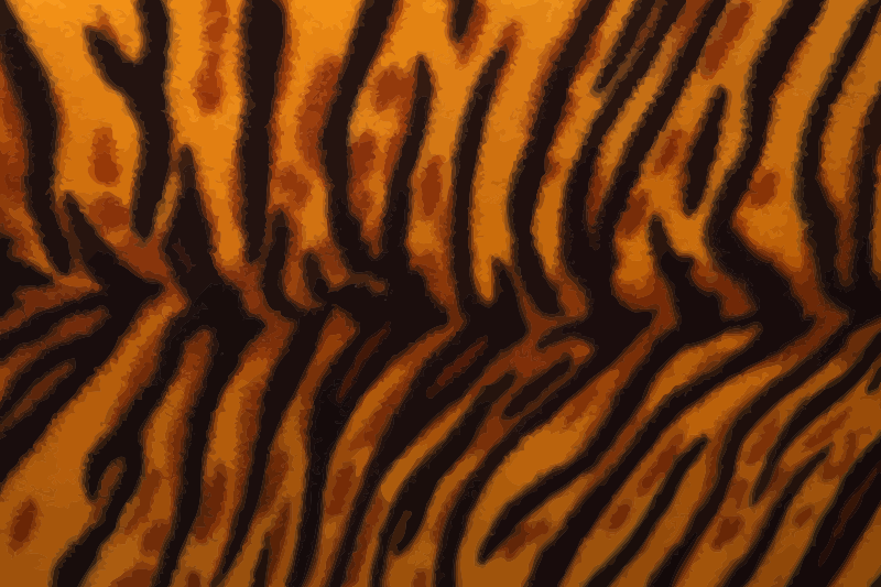 Tiger fur