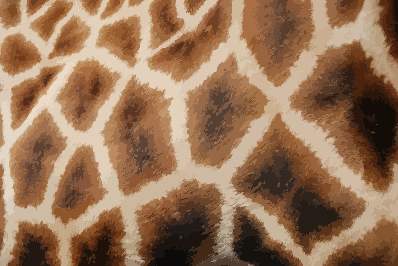 Giraffe fur