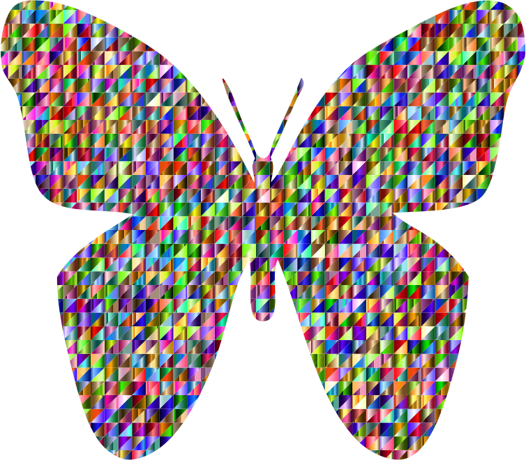 Chromatic Triangular Retro Floral Butterfly