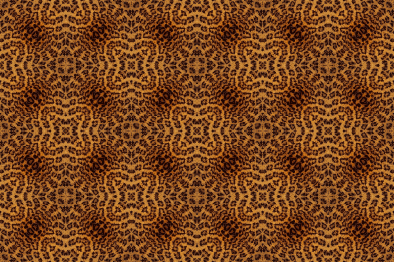 Leopard fur pattern