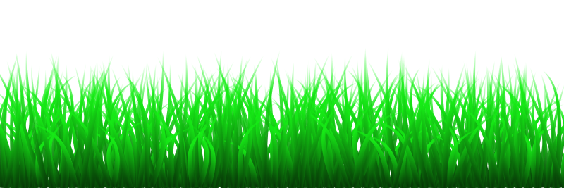 Grass