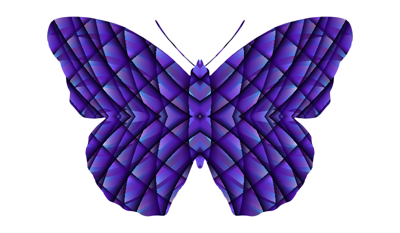 butterfly pattern generator