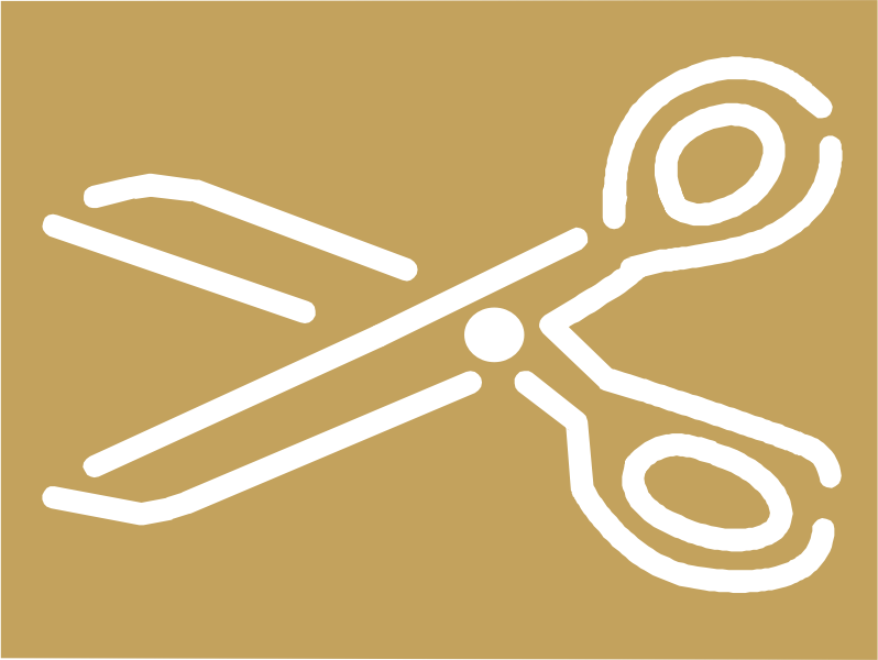 A pair of scissors