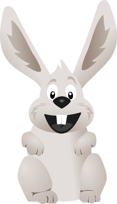 funny Rabbit