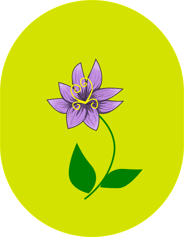 Violet flower