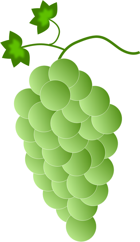 Green\white Grapes - Openclipart