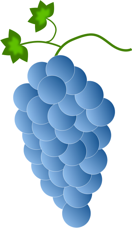 blue grapes