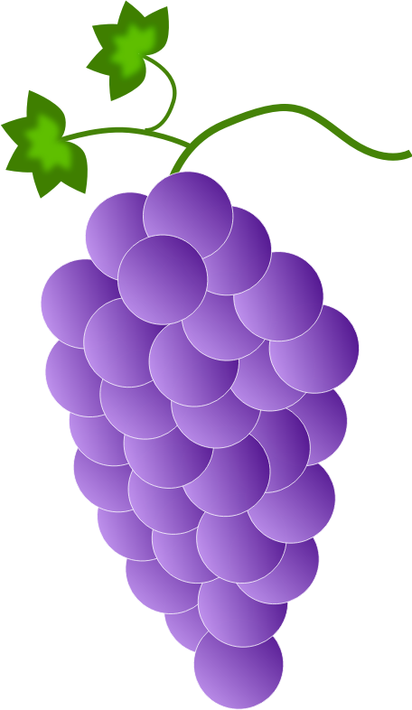 purple grapes