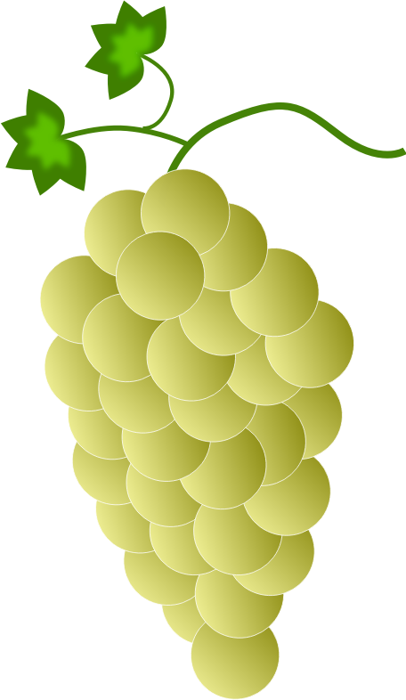 yellow grapes